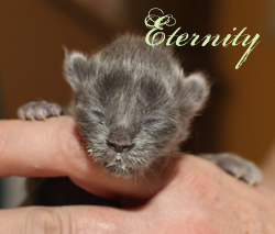 Eternity